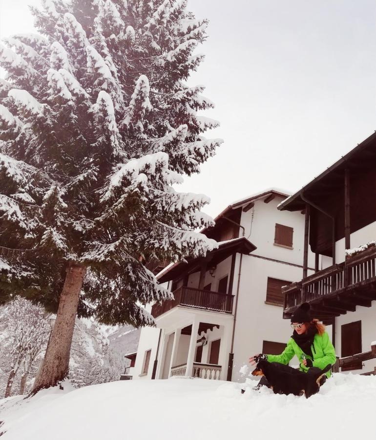 Elison-On The Lake B&B Sauris Luaran gambar